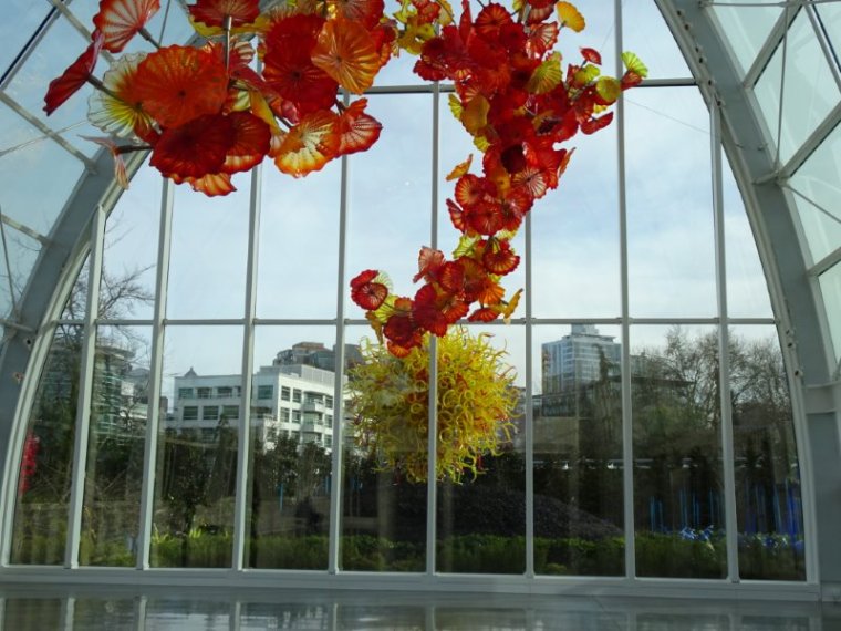Chihuly Greenhouse Monarch Window
