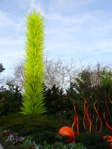 Chihuly palm