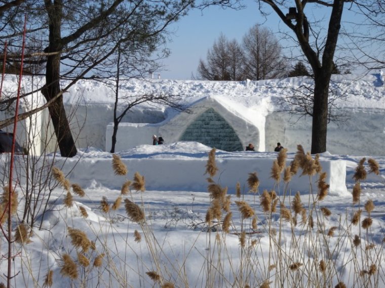 grasses at ice hotel