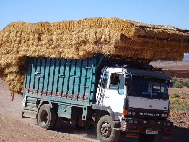 0441FBAB-DEE0-4FC4-BB52-1DA747C2B06F