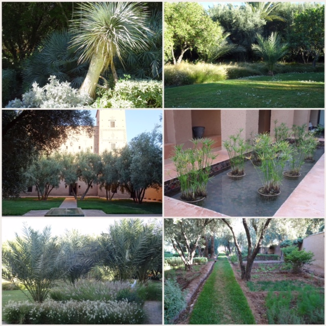 0CFE1C57-C486-45E0-9A40-65F5A690257C