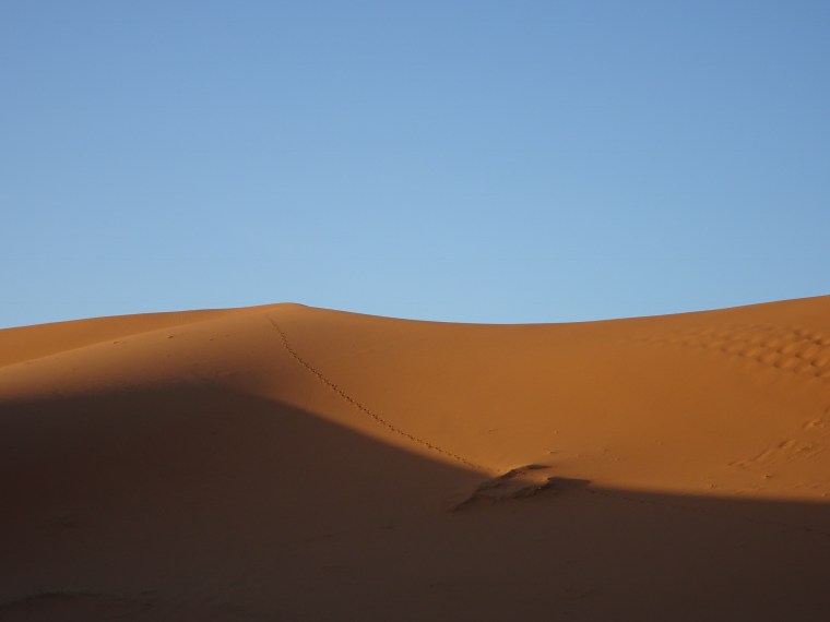 18F09D47-0AA3-4137-89EA-7DB53FB5975F