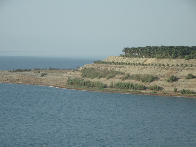 203BC100-573D-44C4-9546-EB9E54E206E2