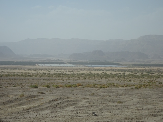 2996EEAD-7D77-45B2-B20E-C6F46C35D3AF