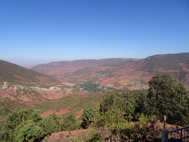 39413E9B-6271-4623-A186-A029161E12DE