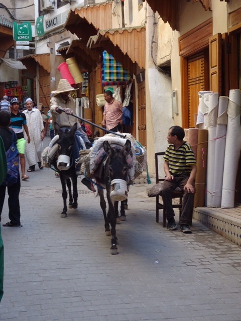 3E3120AA-2240-4CB0-9721-5C1003E43830