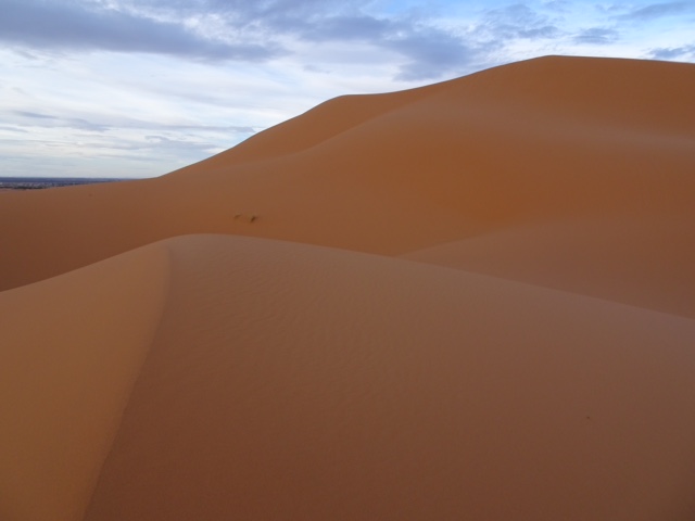 4BB4A07D-1262-4D5D-B2B9-60AE2B988F5C