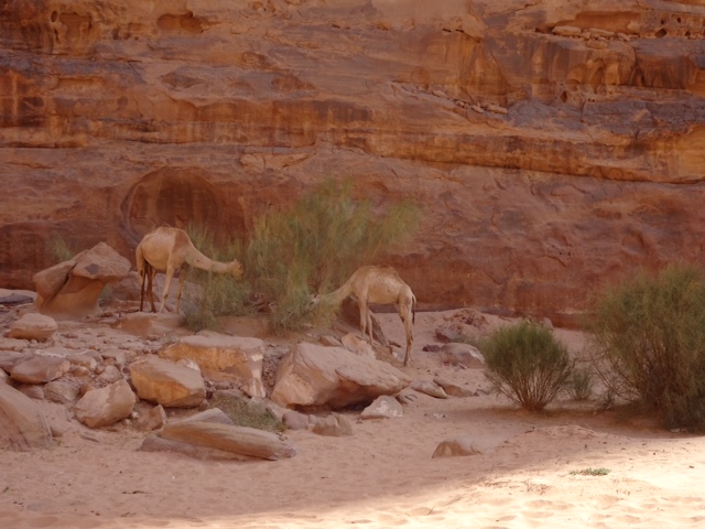 4F7935BA-965C-4234-A758-0E02922B344D