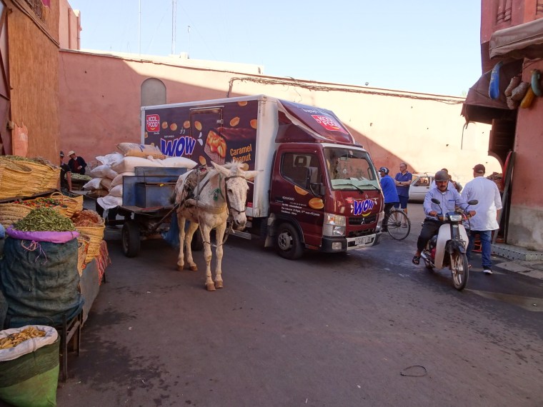 55F24B7A-CD91-4924-B03E-DD4F0FFE26AC