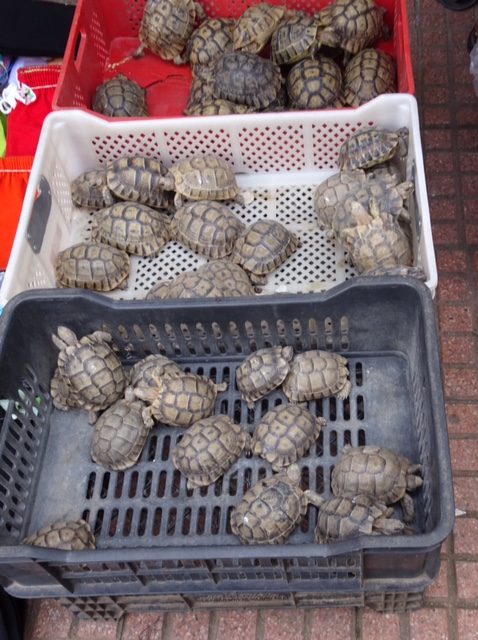 5FFEF1D9-7ED2-4F31-AF53-01FBF0670FAE