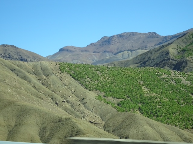 66F1F398-B518-466C-9A22-B6E51C7E7399