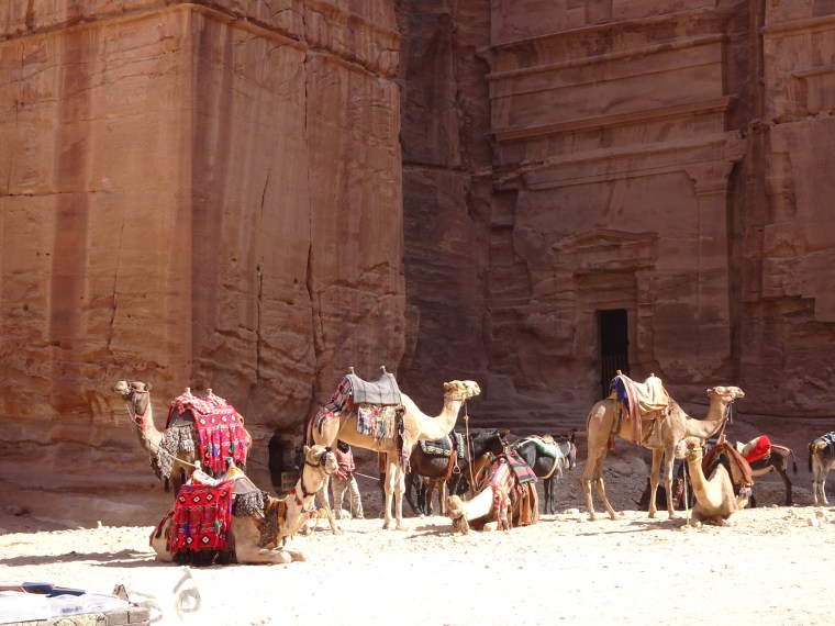 71C15B13-D98D-4E90-8C79-574C1A179E23