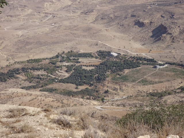 74DECEDD-E86B-4185-8C9D-D78AE5EEC12B