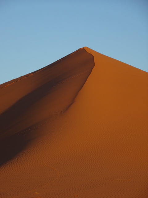 771D14D0-6A53-44D1-A45C-9456ED9C084B