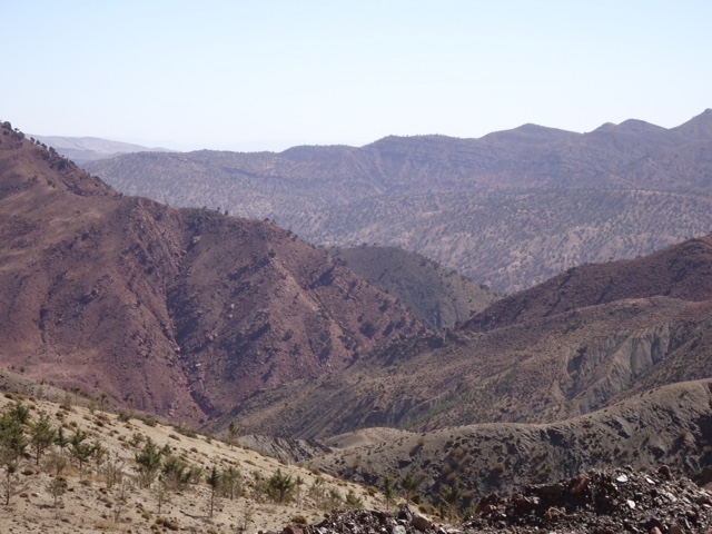 895F9ACF-320D-4C7A-BF7D-D7FA4E218789