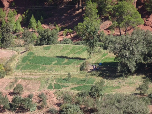 92C11B66-2811-4C87-80BE-3E0A9B93977D