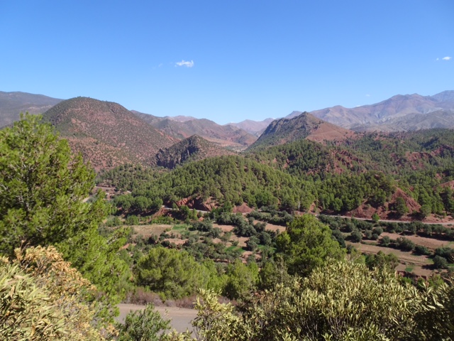 AAC17F64-C8C4-45ED-BD86-655BC67466B6