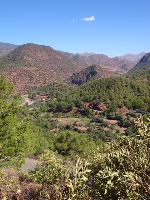 ABE29772-58AC-466D-850C-2732BB54CC56