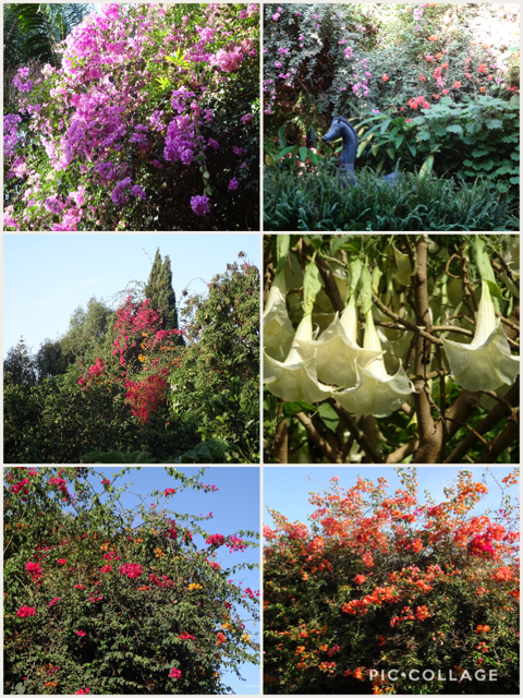 B10C63E0-3403-45DE-AD37-AE10530F2BE9