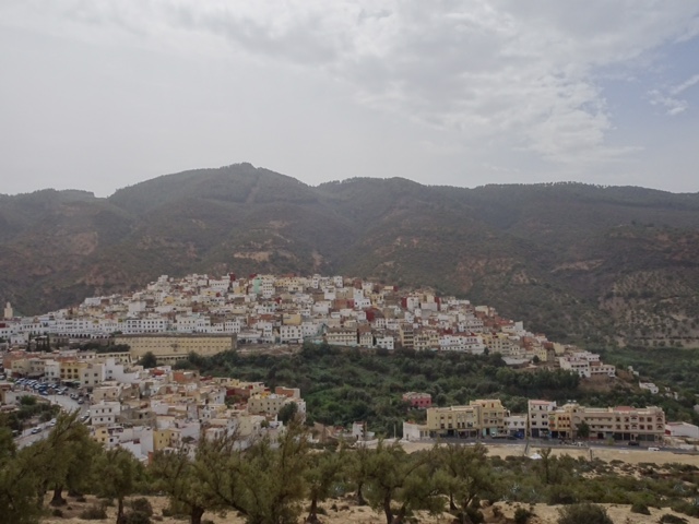 BA1035AA-7EF8-4306-849D-9A52B3A46B36