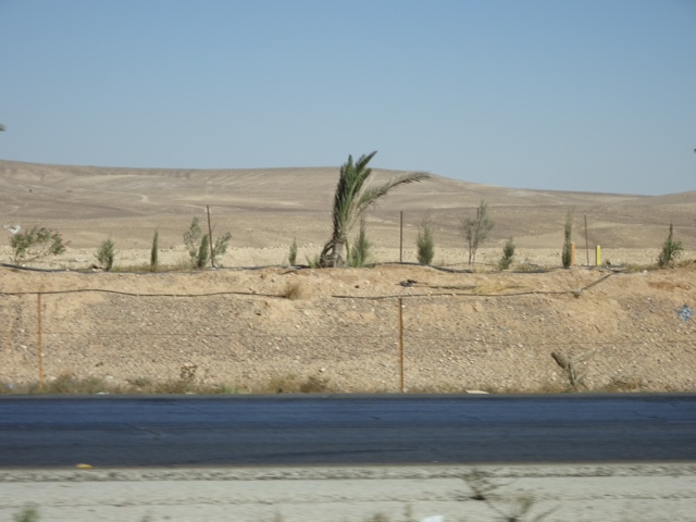 C9680FBD-1D9B-4B01-97DF-D07D79919EF8