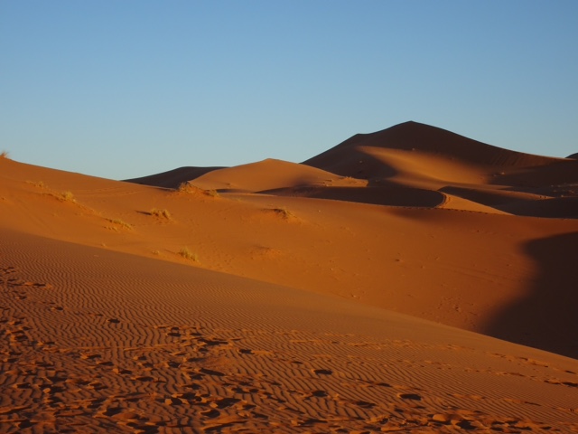 D036CE43-E7BA-477A-89EB-191AACB73733