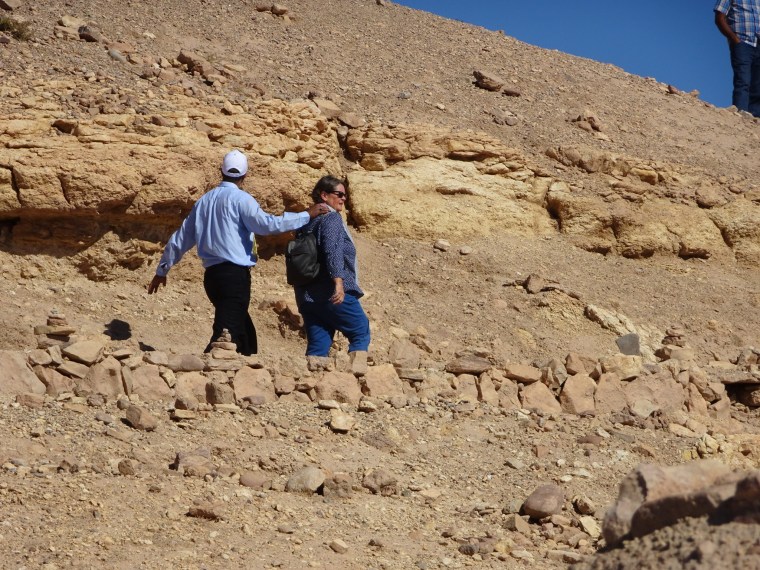 D271E360-6BC5-4DE7-9BAA-DA2936BE8681