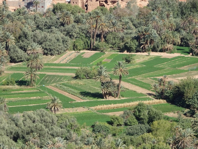 D3F3EF28-1865-4375-8744-F85D43A29E19