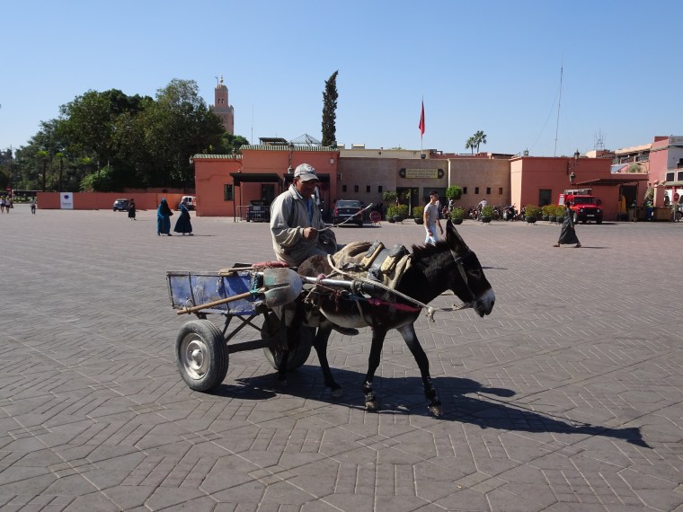 D44A1D92-699A-4071-8FBD-11E375C9C652