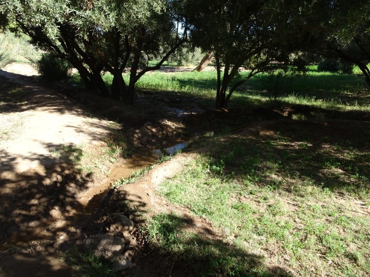 D5B85661-1476-4D71-976B-ADF0612FAF43