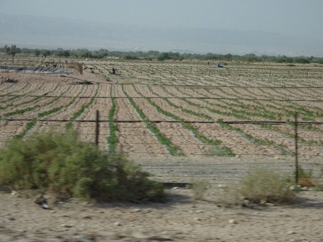 D7753DC6-8E3D-4101-9491-09D8A4F7801A