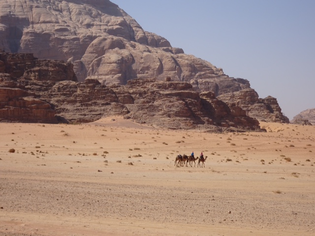 D9B0A598-4102-43A5-A777-CCB93FD46743