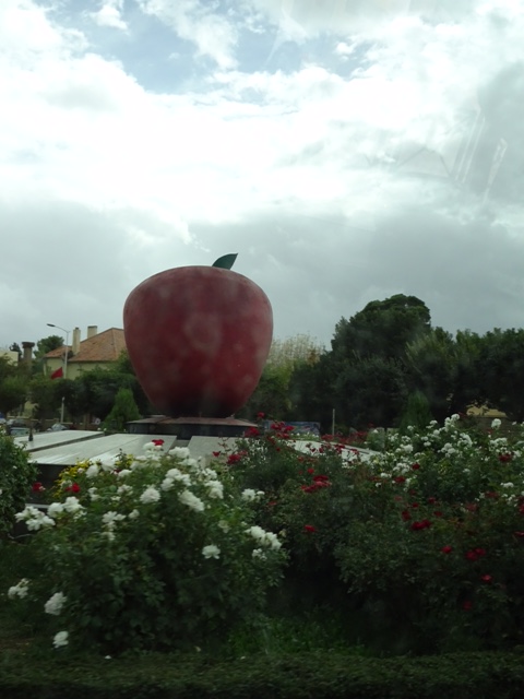 E30D64F0-5602-4A5B-8579-D9BD32FE36FB