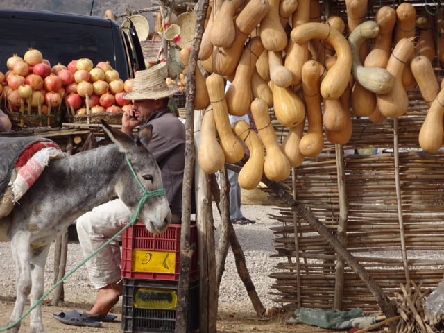 E8AF684D-AAD9-49B8-824D-66946AD1CCE8