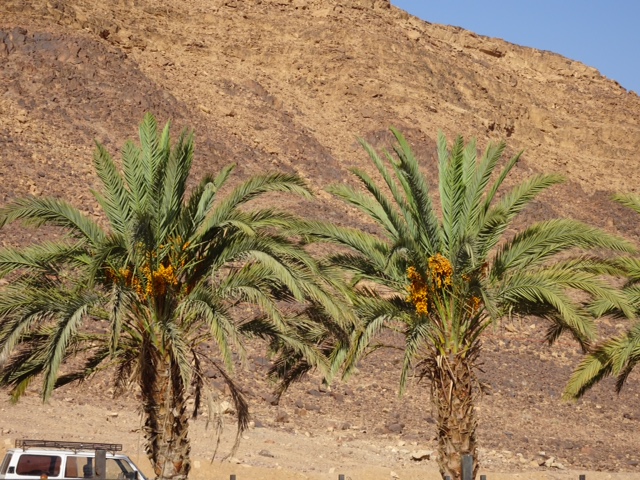 F4E41BD9-4DF9-4051-8943-B28ABD5C29A0