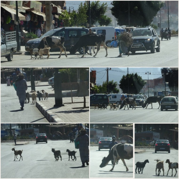 FBFC3376-601F-4B7D-A11F-B3E9CC597E57