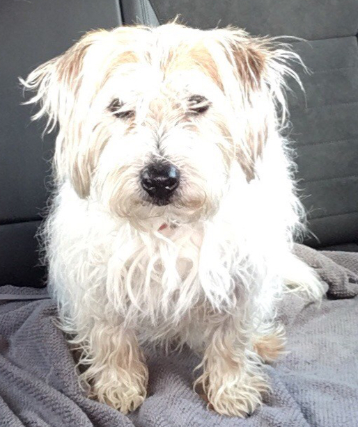 FDA89165-31D6-4830-91DE-6C736C061069