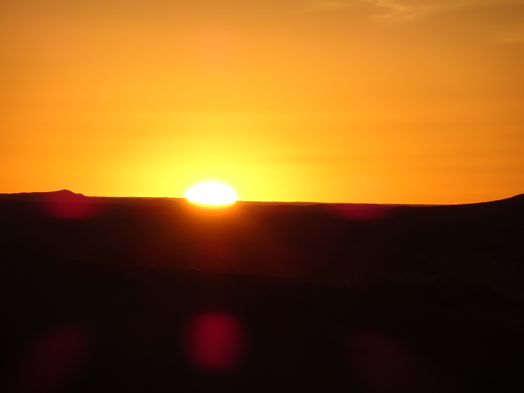 048D23E5-F32F-4975-8B3C-E11D89EA9781.jpeg