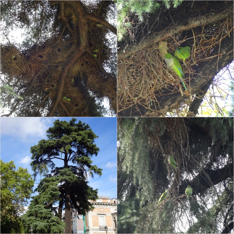 427890E3-9EB2-469A-9E52-F8AFE080DE19