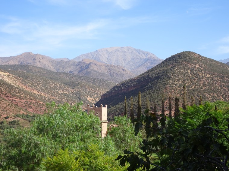 C4AE79A6-78B7-478B-8412-918D7C6E54C1