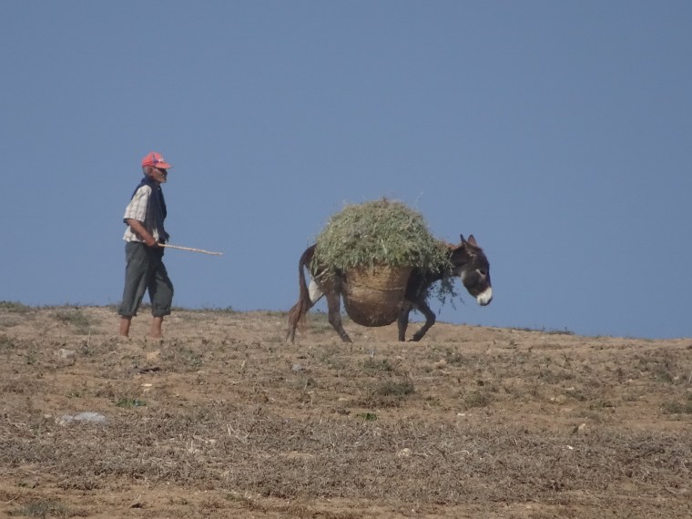 D8B623BA-B779-47BD-904A-2F52C64914B3