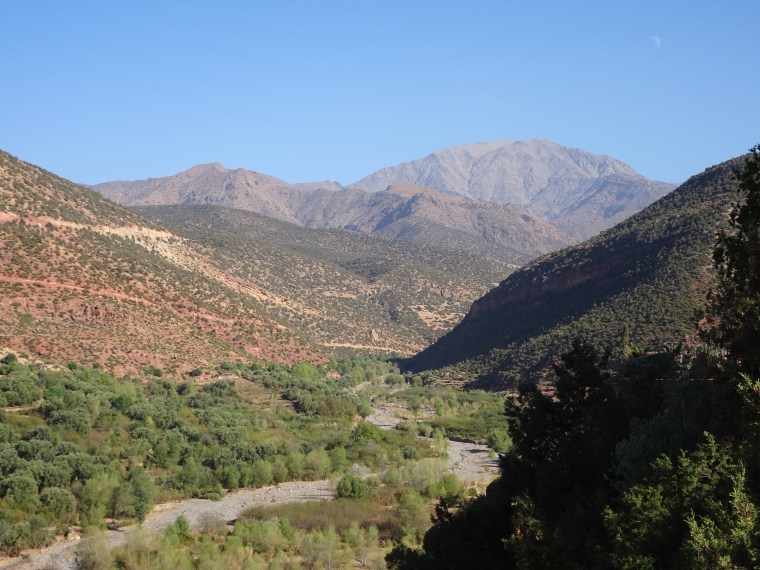 F2316E2E-D06F-4054-8068-91E710C733DE