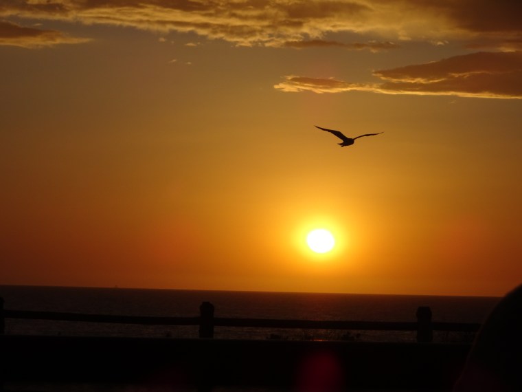 Cable Beach Sunset 1