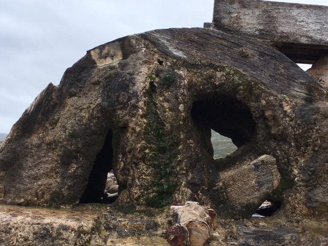 Calcified waterwheel