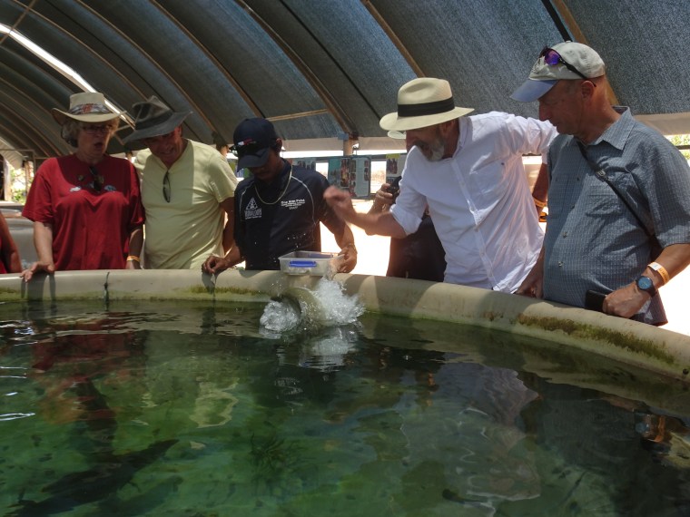 Garry feeds the barra