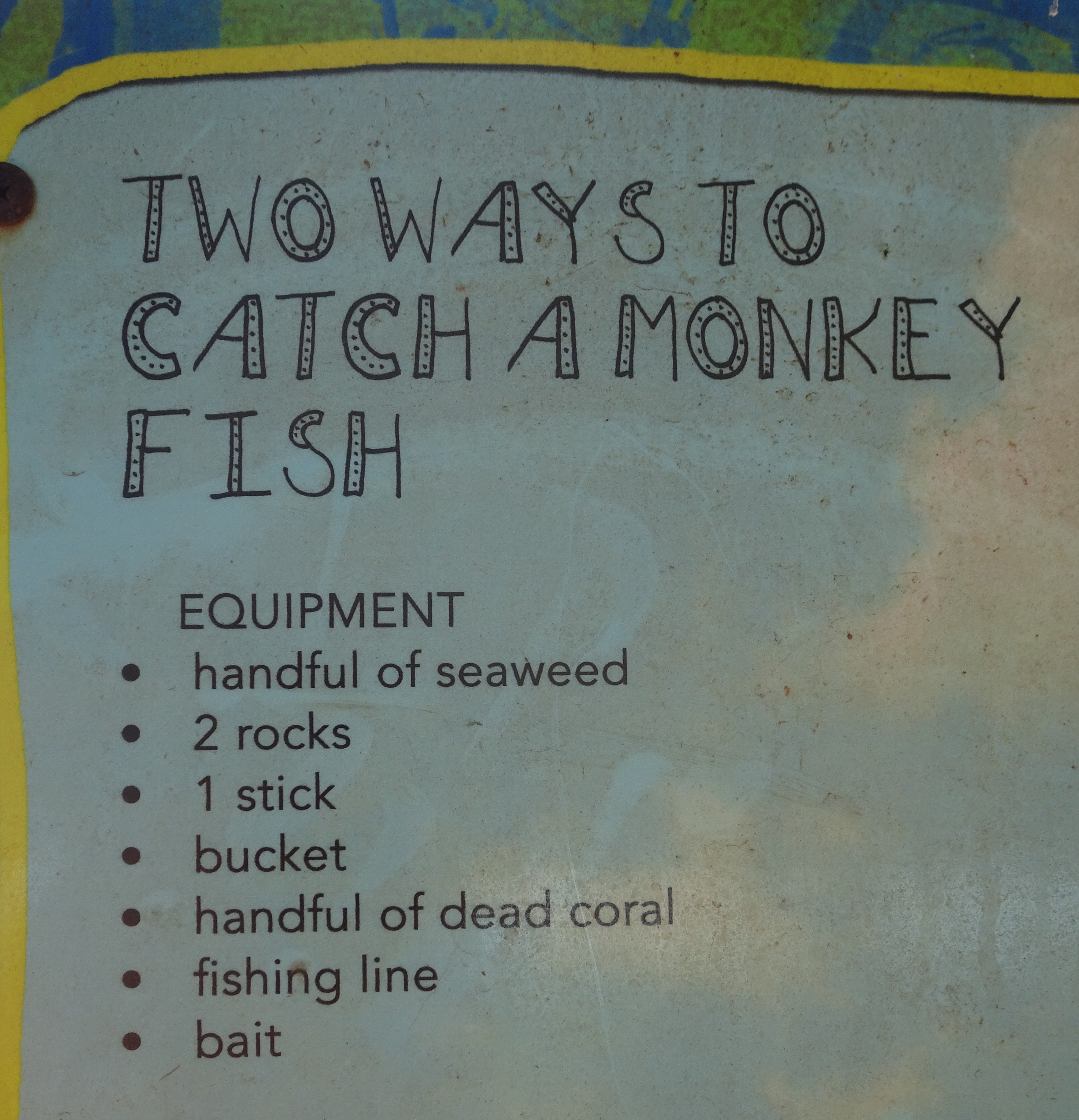 Monkey Fish