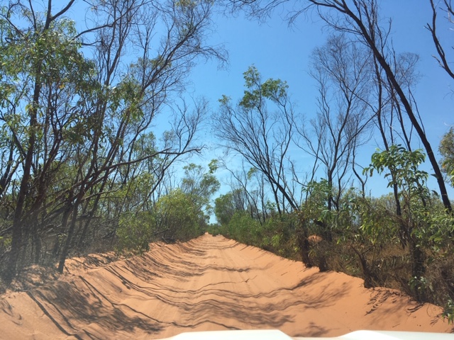 The Road to Kooljaman